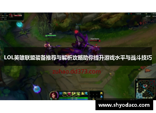 LOL英雄联盟装备推荐与解析攻略助你提升游戏水平与战斗技巧