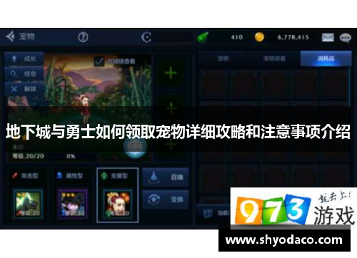 地下城与勇士如何领取宠物详细攻略和注意事项介绍