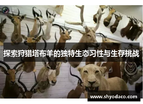 探索狩猎塔布羊的独特生态习性与生存挑战