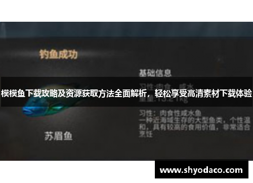 模模鱼下载攻略及资源获取方法全面解析，轻松享受高清素材下载体验