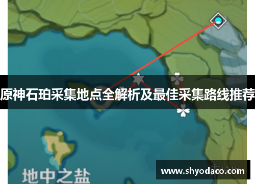 原神石珀采集地点全解析及最佳采集路线推荐