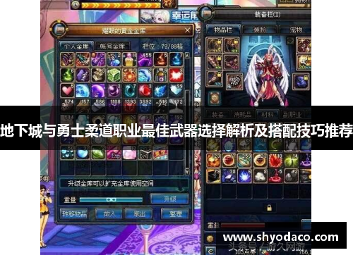 地下城与勇士柔道职业最佳武器选择解析及搭配技巧推荐